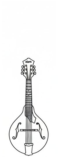 mandolin